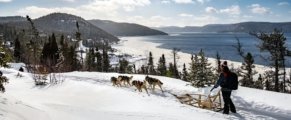 Try Dog Sledding in Quebec